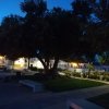 El Carmen (2)